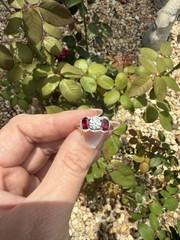Natural Ruby & Diamond Three-Stone Ring | 14K White Gold | Halo Setting